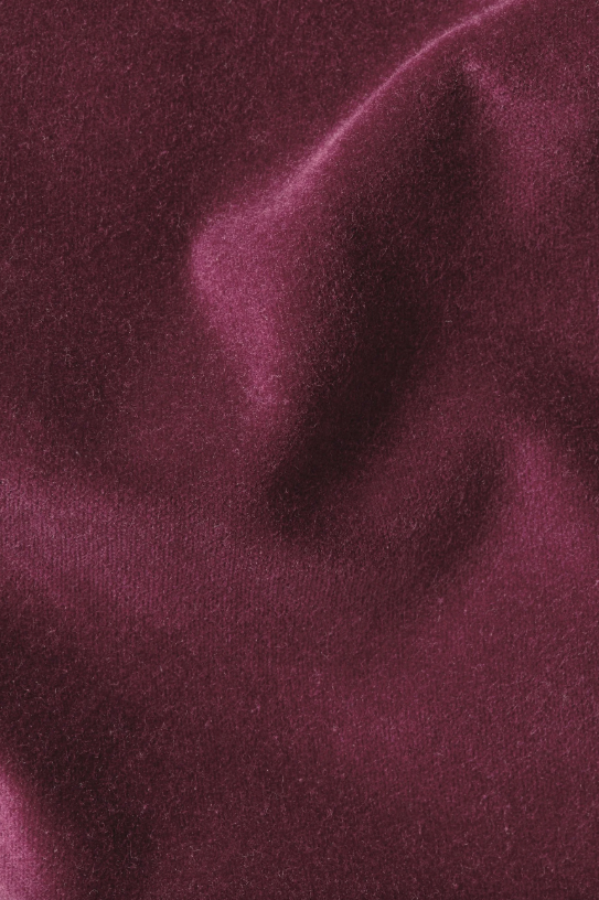 BIBI BLAZER - CABERNET RED