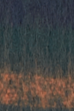 CHECK SCARF - PINE GREEN